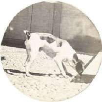 004-5