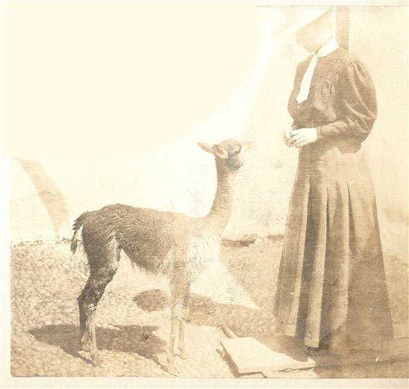 026-4