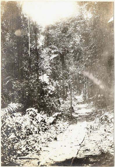 064-1