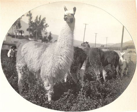 075-2