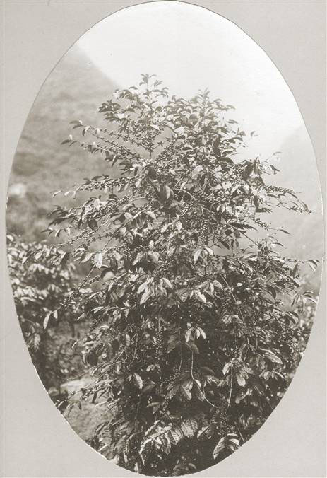 061-2