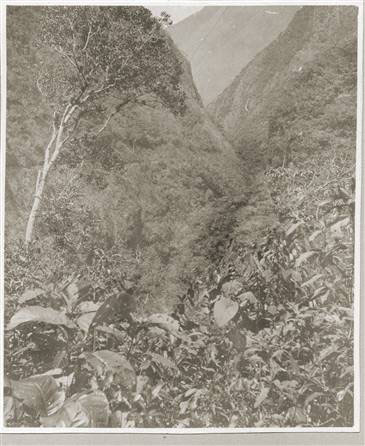 064-3