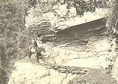 Trail