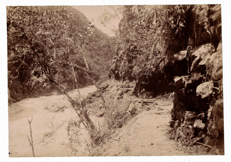 15 Inambari & trail