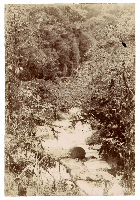 25 Limbani River