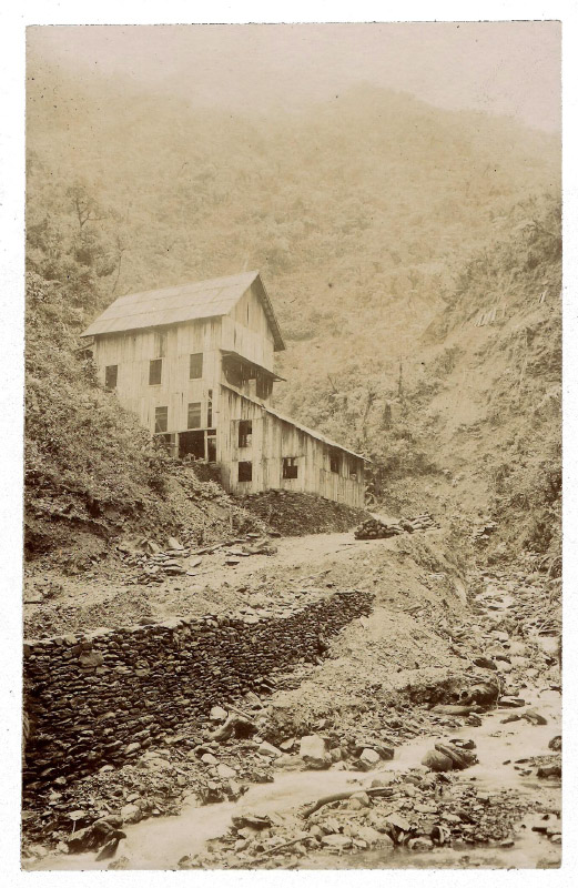 43 New saw mill