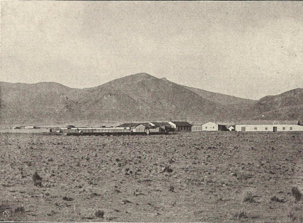 03 tirapata
