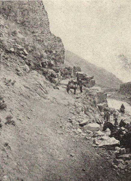 04 san anton road