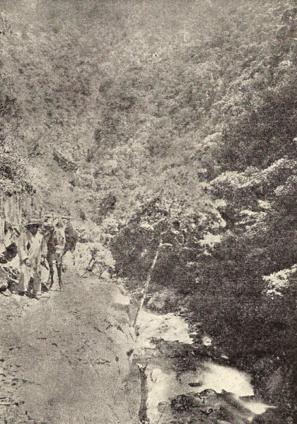 10 trail
