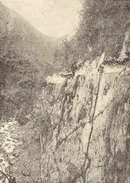 12 trail