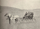 04 carriage